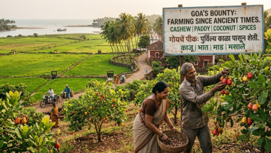 Goa Farmers